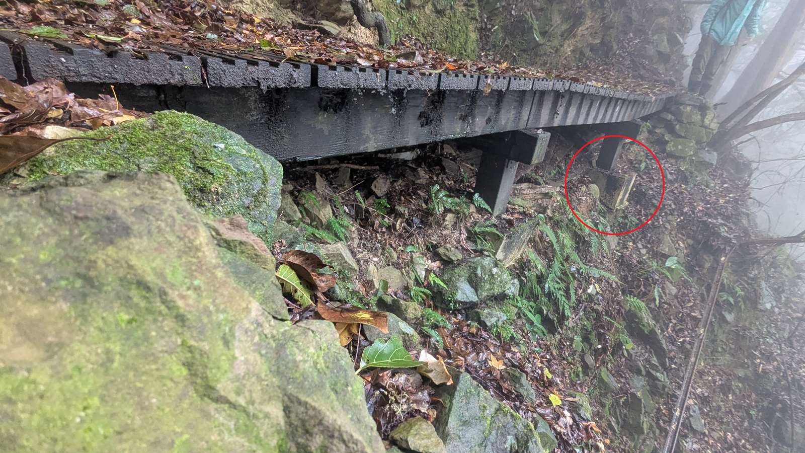 加里山登山步道大坪支線3K+300棧橋基礎淘空