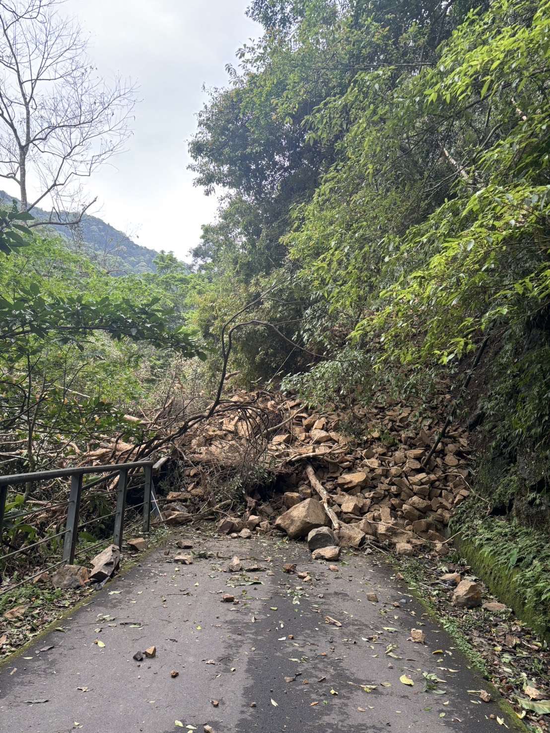 健行步道0.4k處步道邊坡崩落無法通行