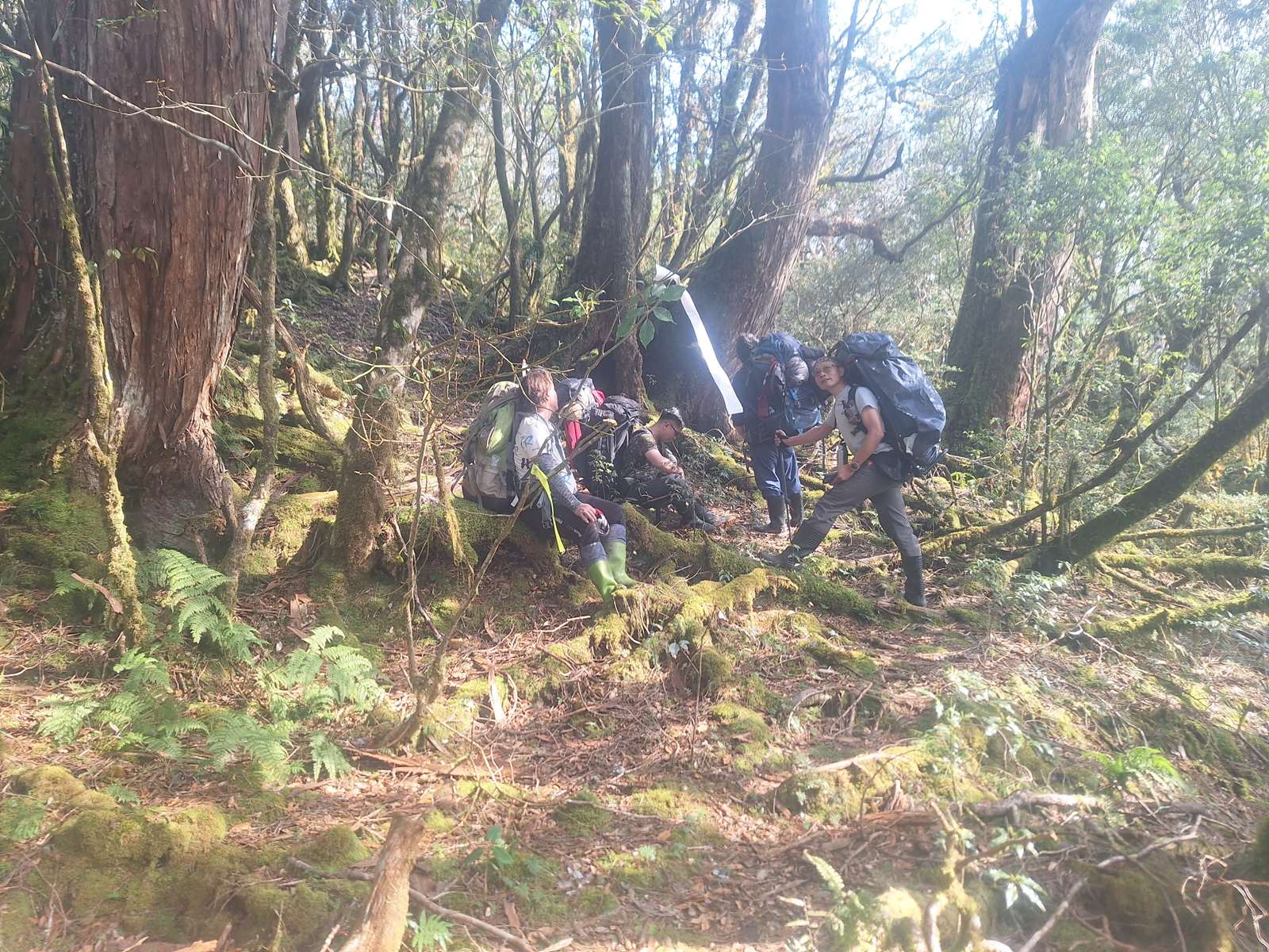 調查監測志工協助特遣隊任務