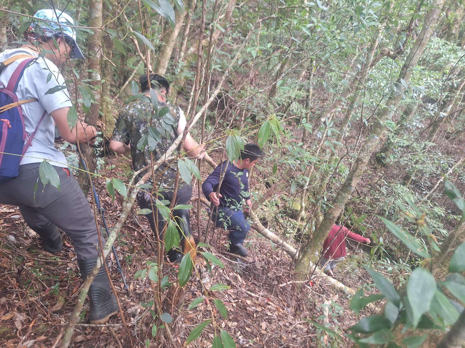 調查監測志工協助森林巡護