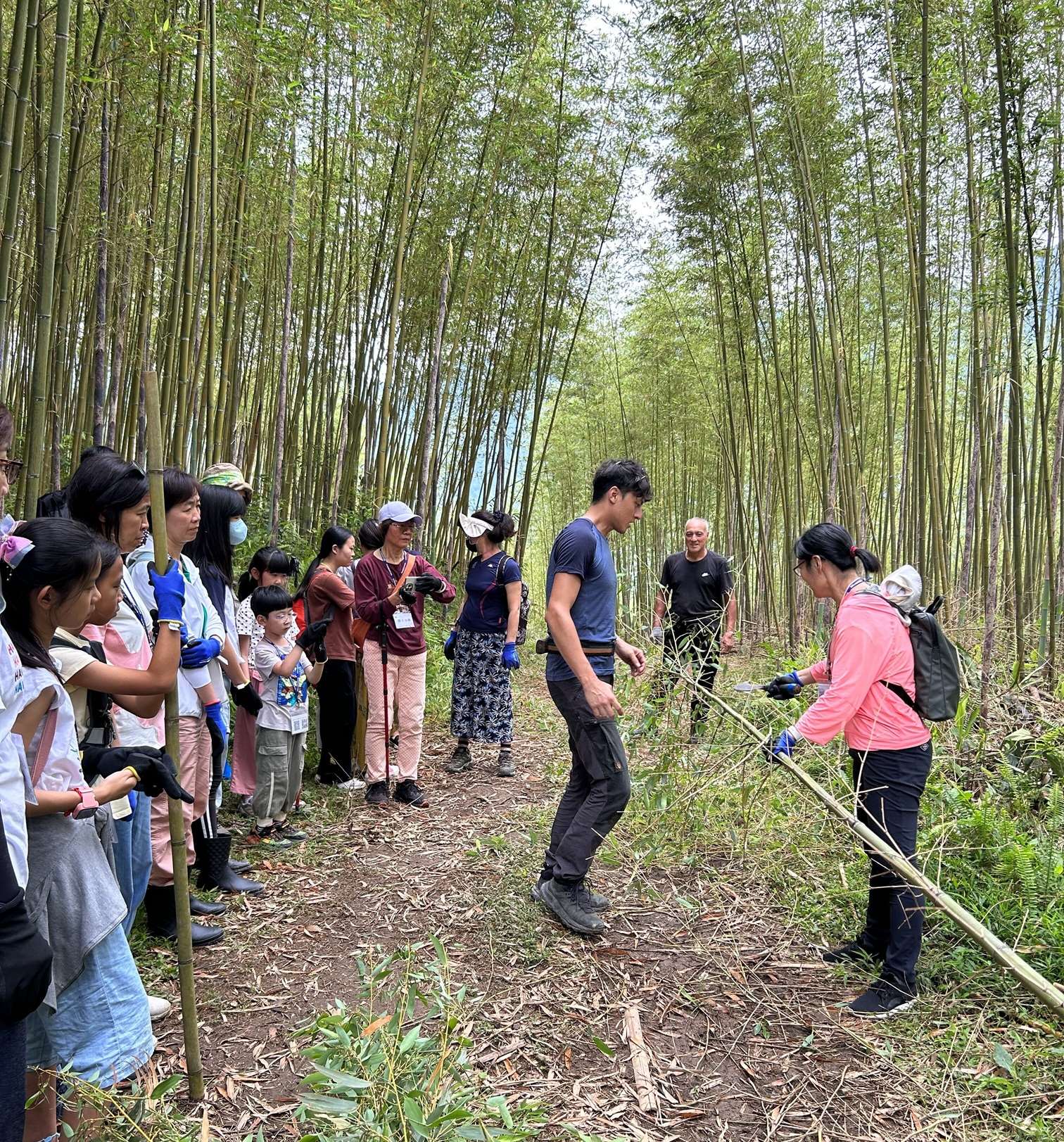 竹藝復興-竹林體驗