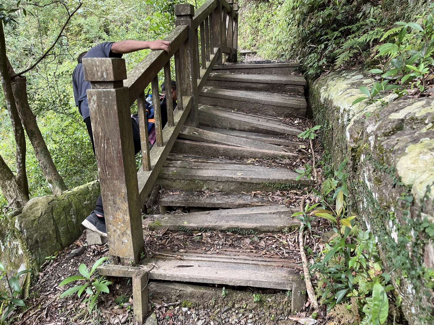 東滿步道部分木造階梯基礎及踏階腐朽損壞