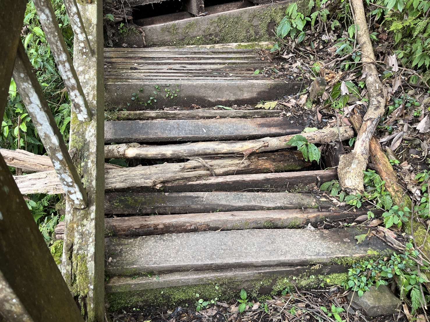 東滿步道部分木造階梯基礎及踏階腐朽損壞