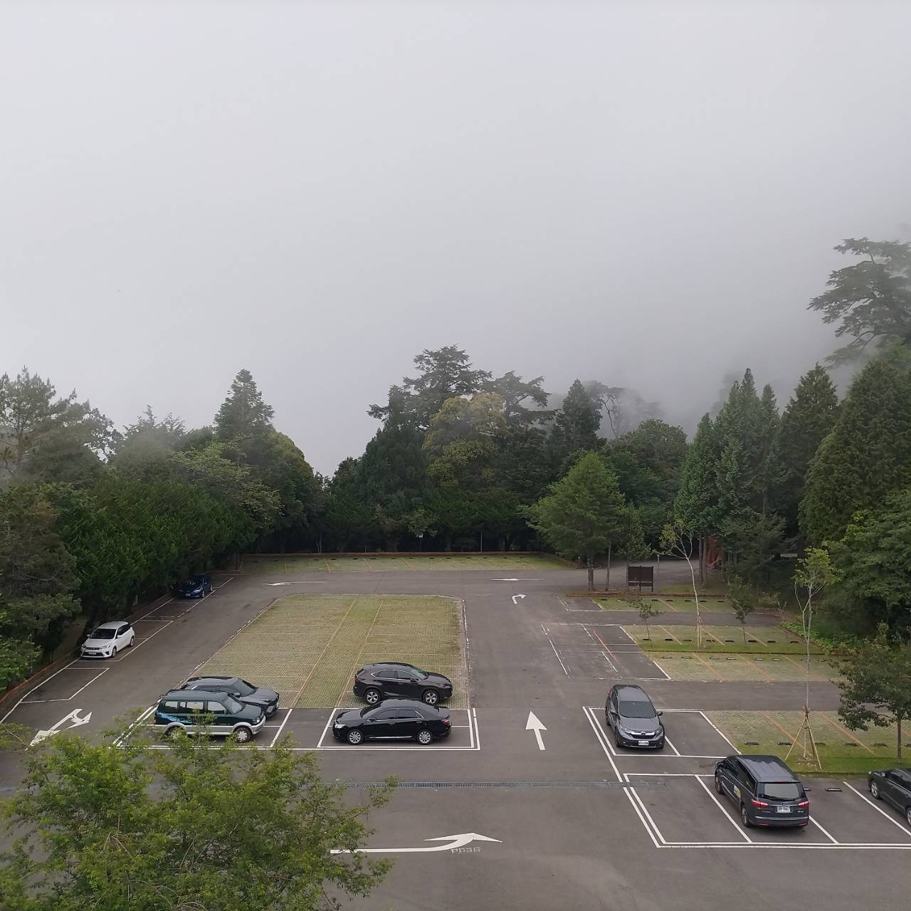 大雪山國家森林遊樂區一景