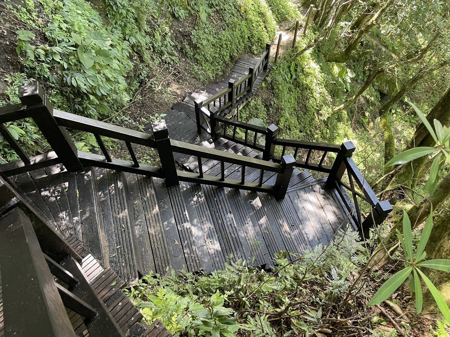 東滿步道木造階梯修繕完成