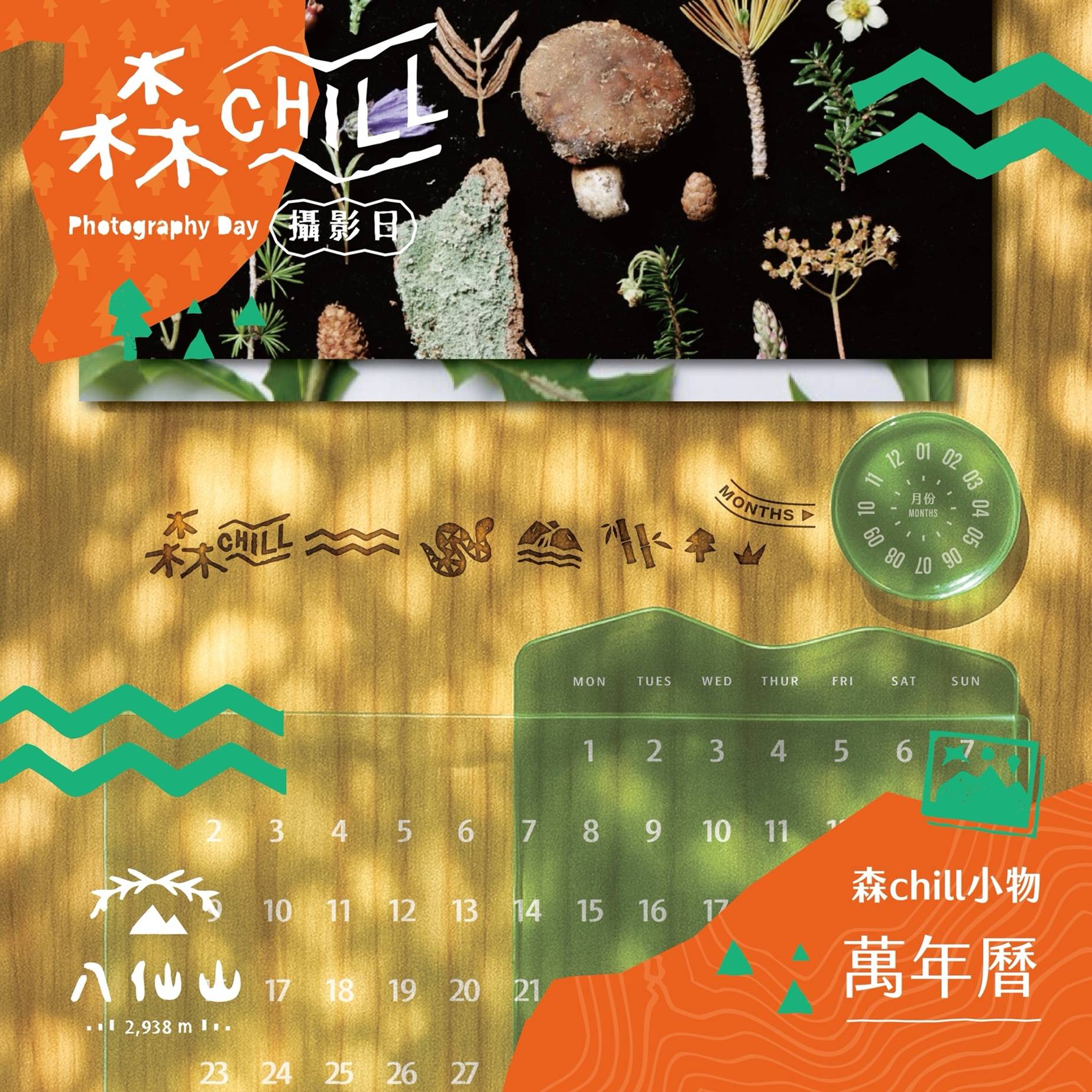 『森chill山徑攝影日』臺灣二葉松萬年曆示意圖