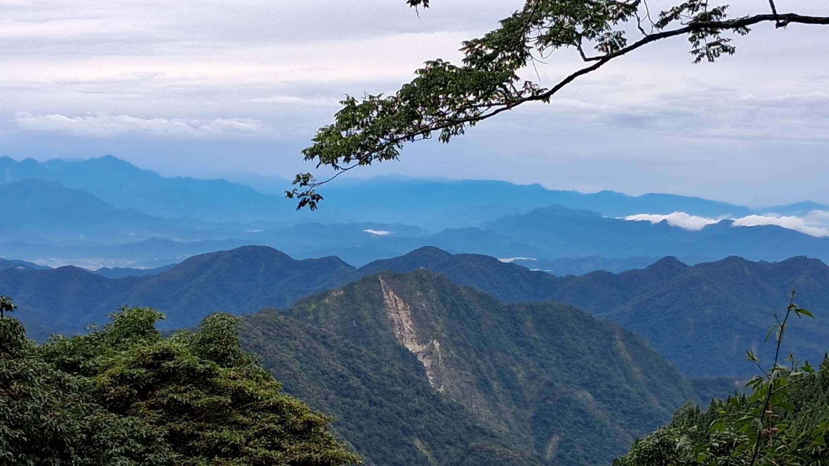 大雪山國家森林遊樂區景色