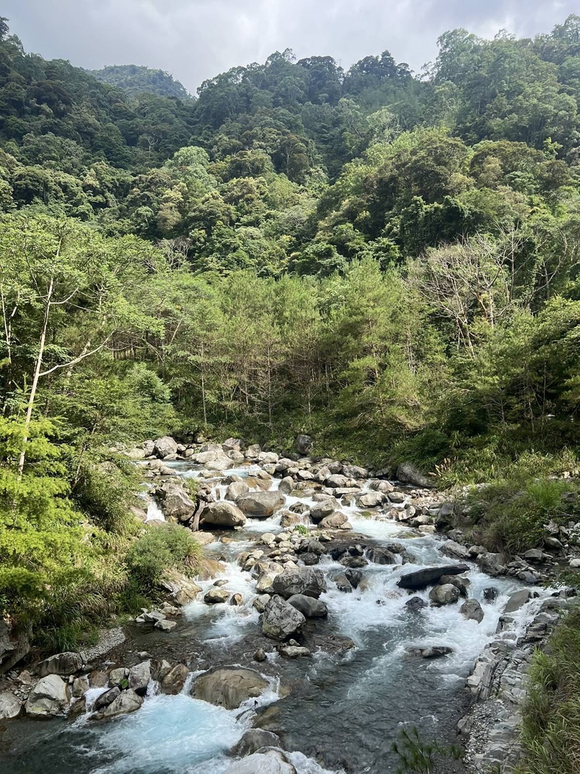 八仙山國家森林遊樂區景色