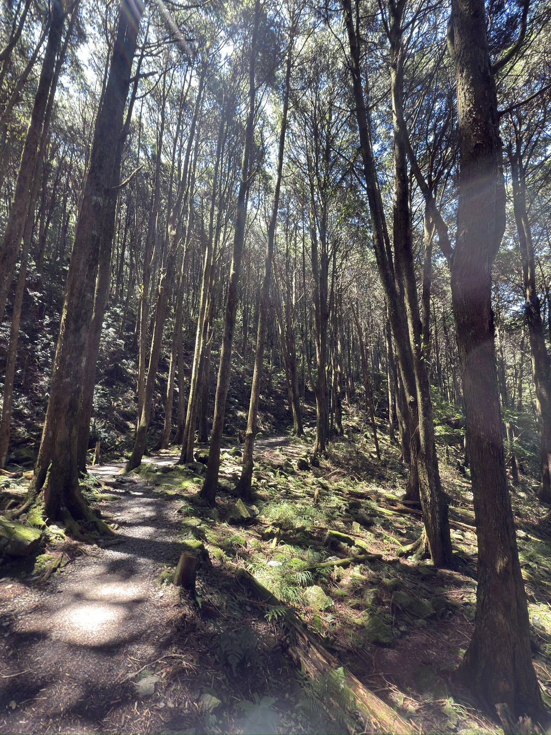 稍來小雪山國家步道