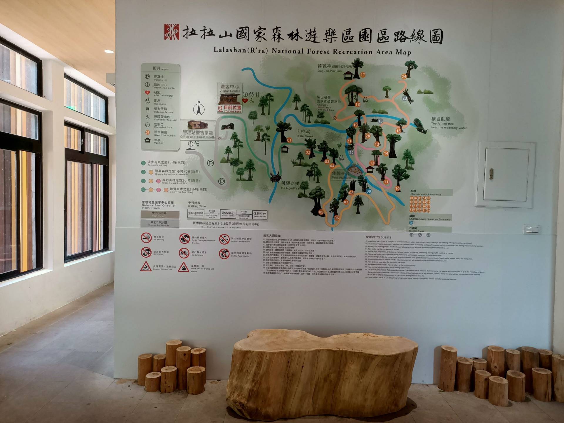 遊客中心內的雲朵木椅