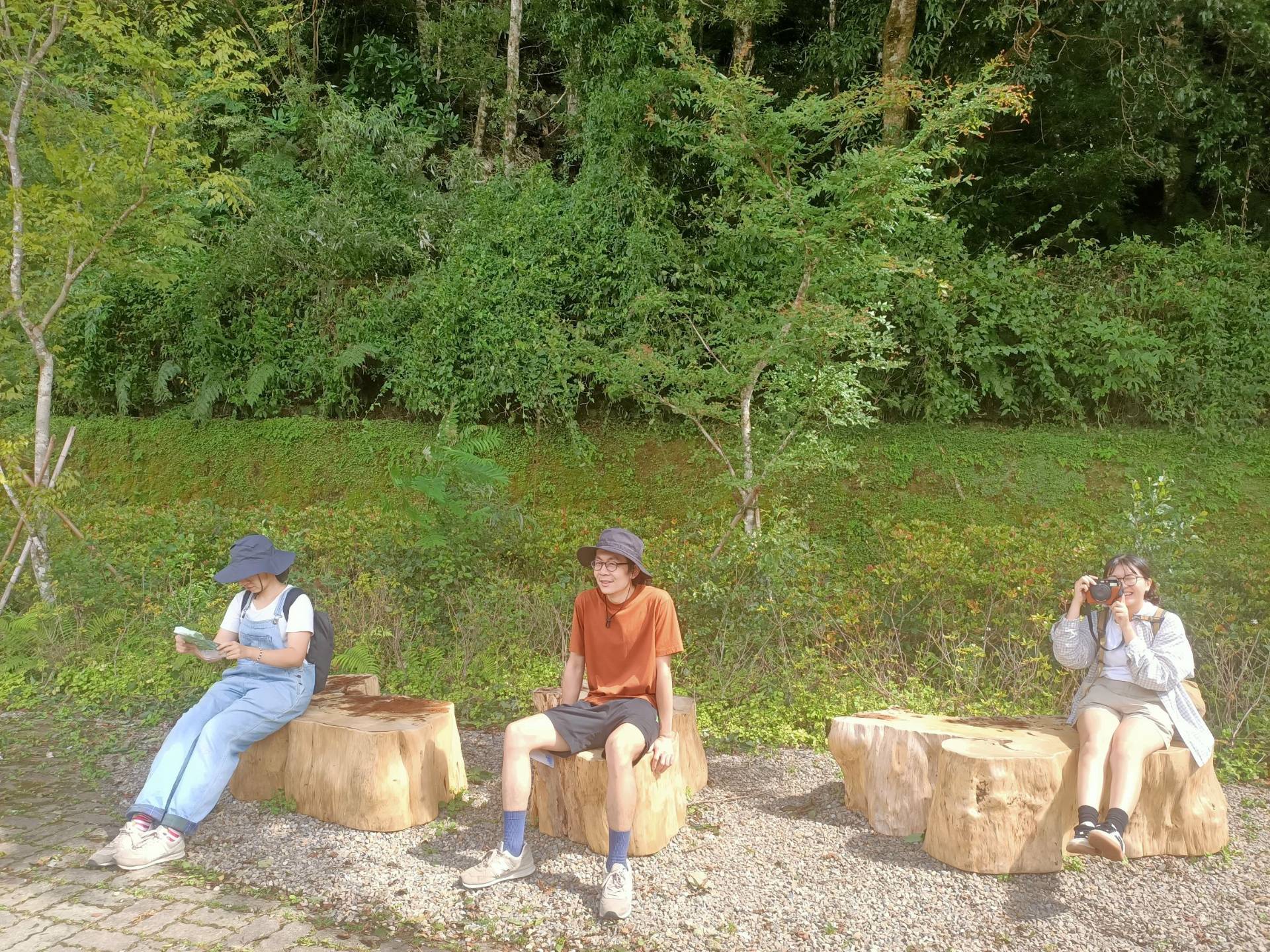 遊客喜愛雲朵木椅