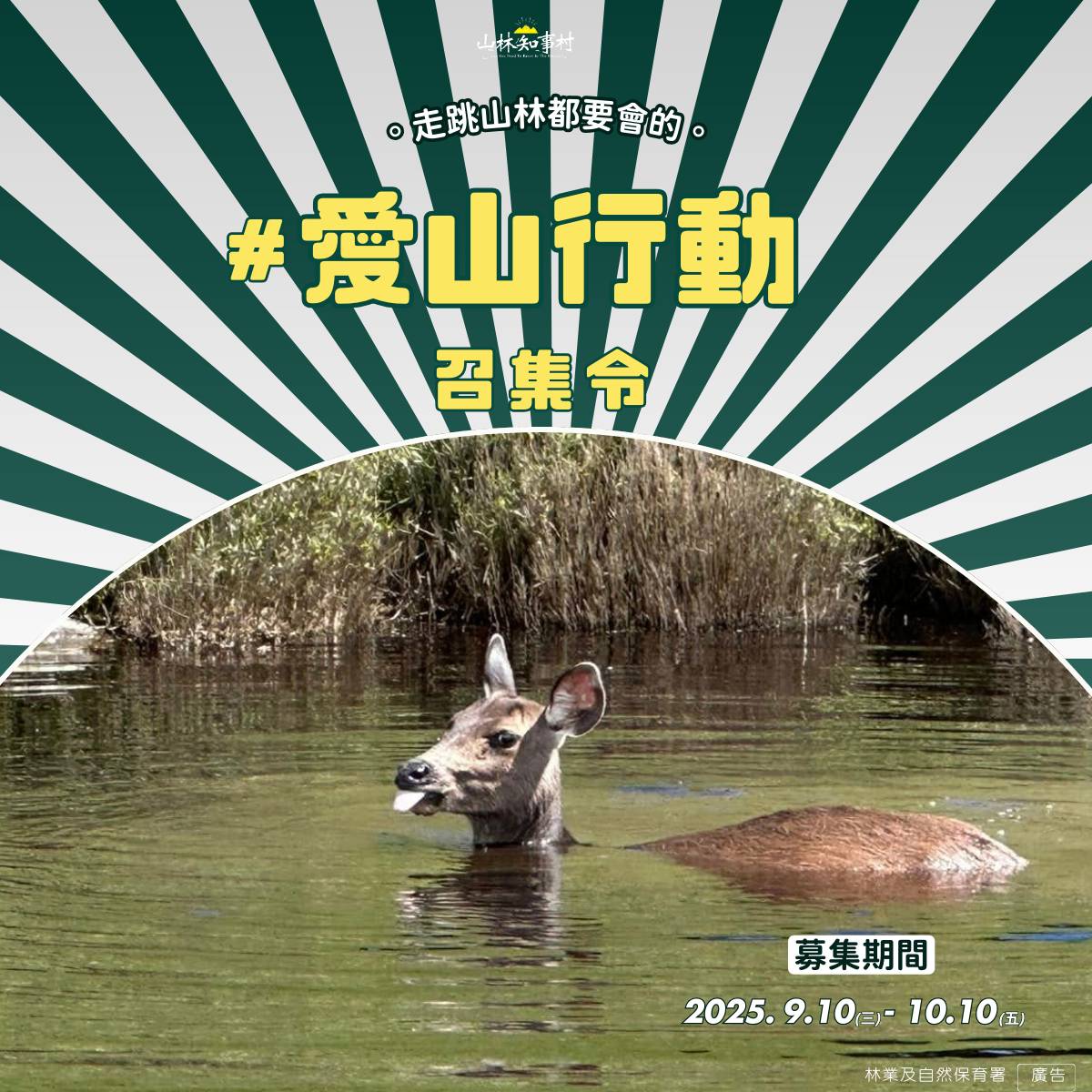 #活動詳情見圖卡說明