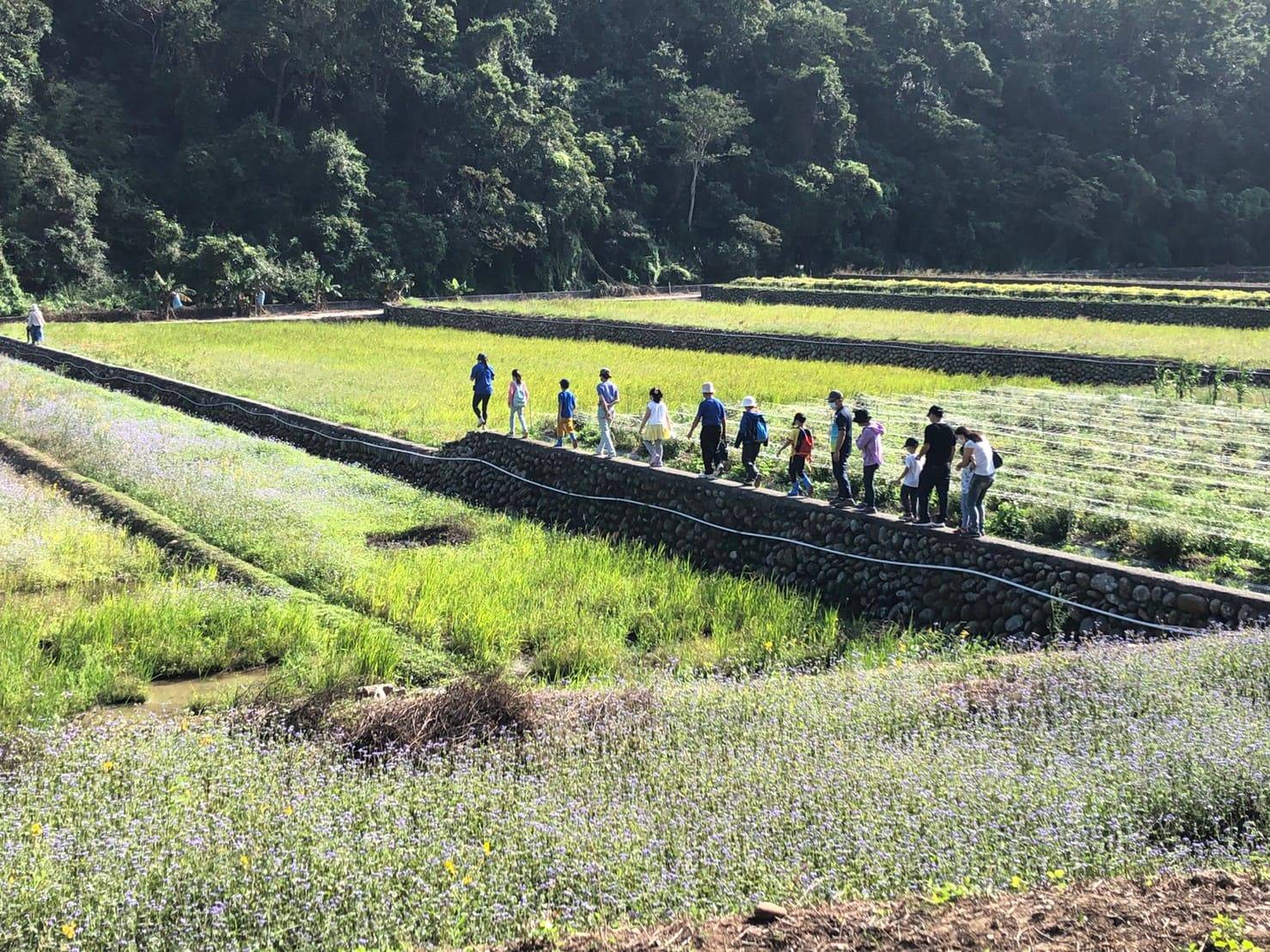 過往活動田間巡遊