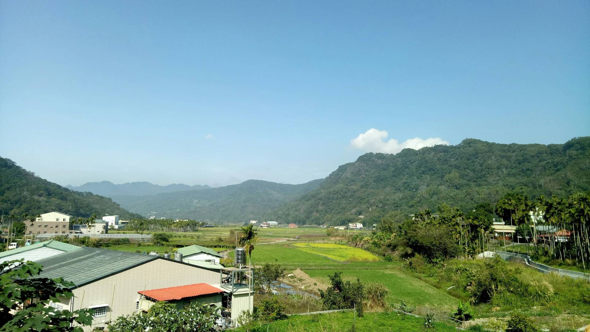 遠眺三義鯉魚社區之地景