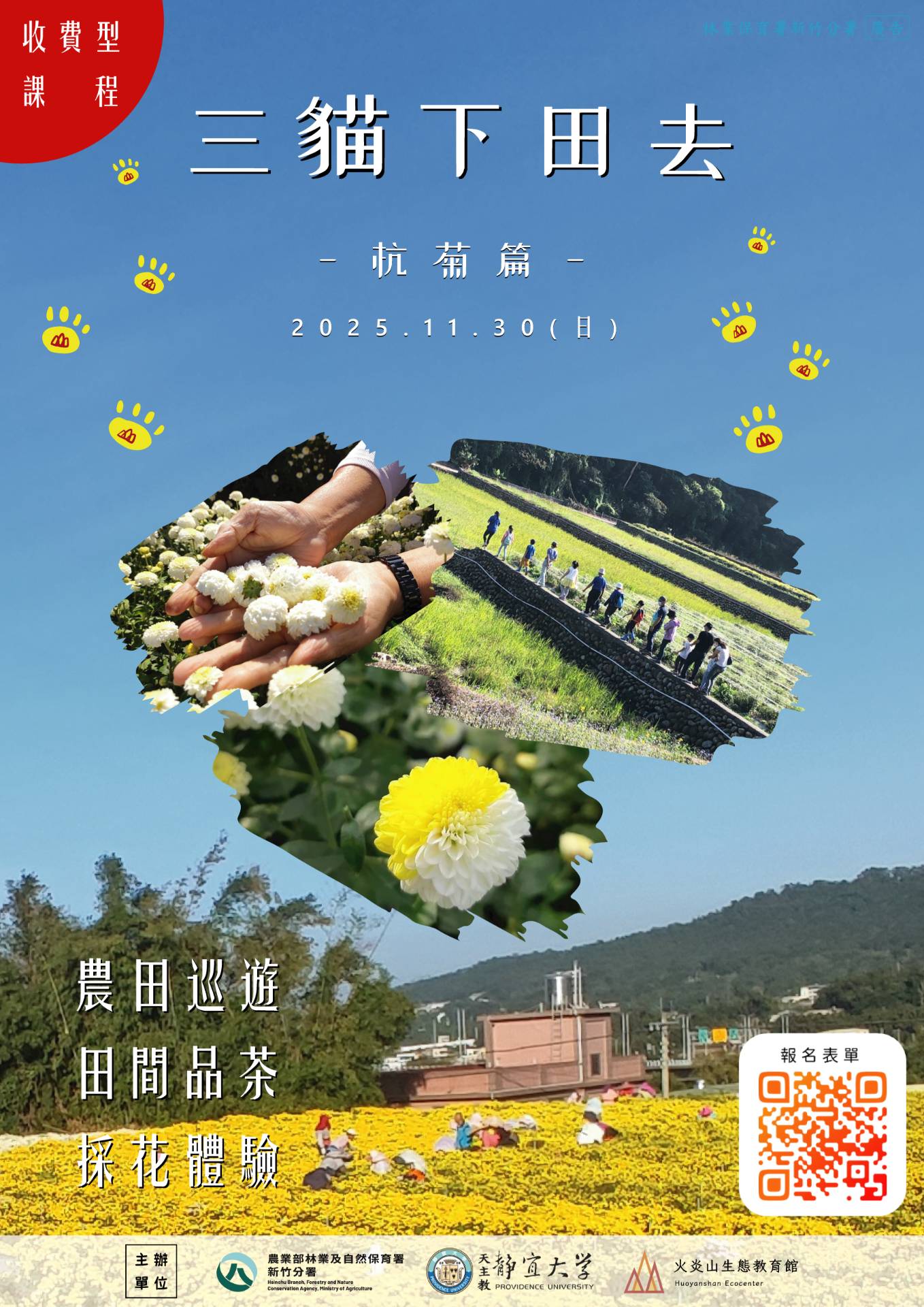 三貓下田去杭菊篇活動海報