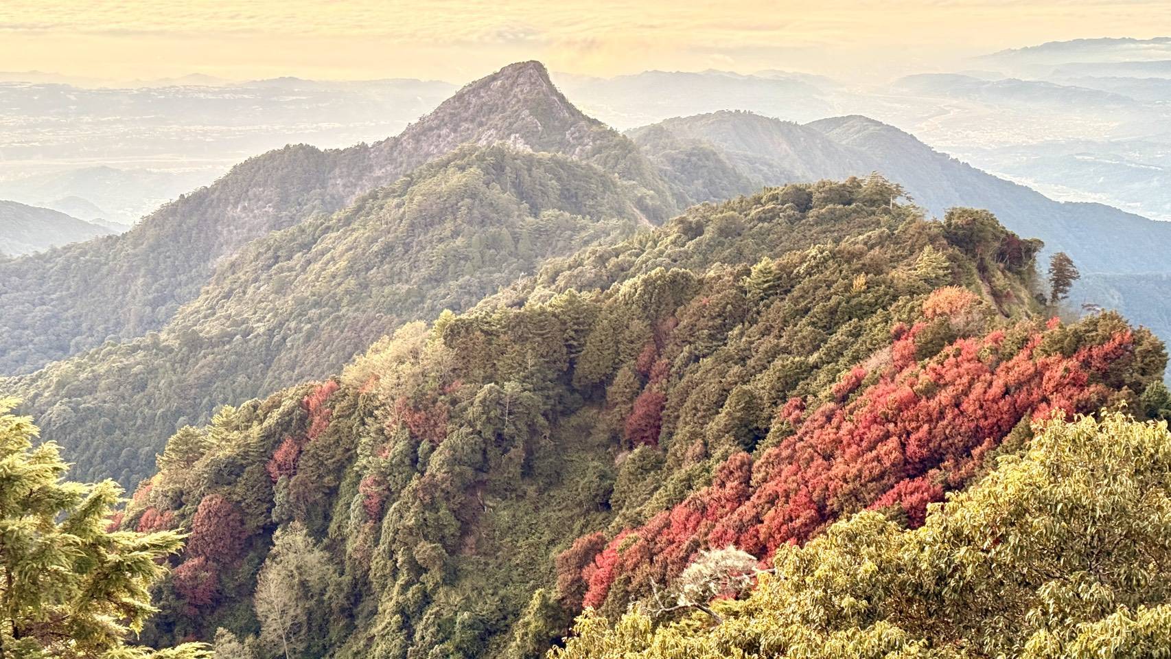 鳶嘴-稍來山國家步道楓紅