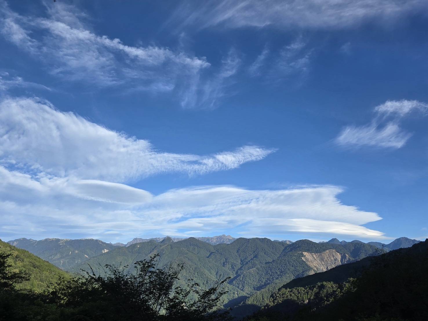 觀霧國家森林遊樂區眺望聖稜線