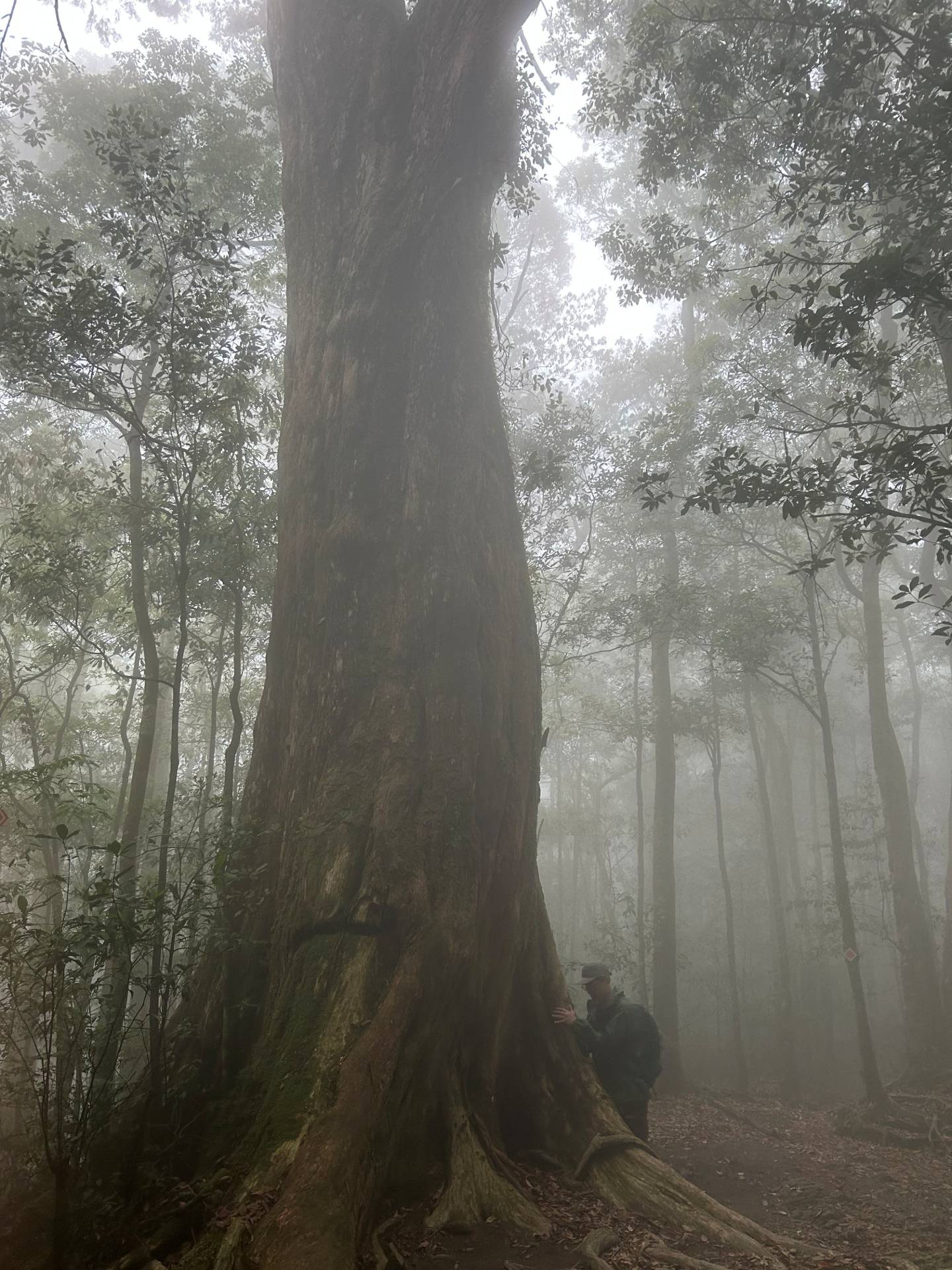 帶著敬畏的心潛心沉澱共頻
