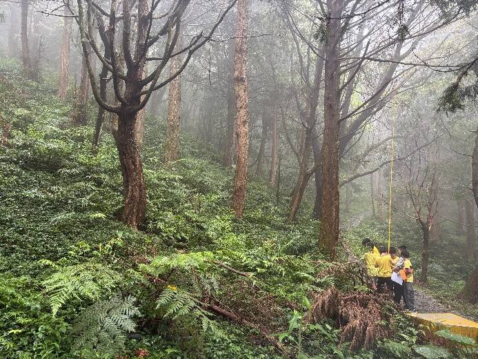 單日型戶外教學課程－「森林碳測術」：測量樹高