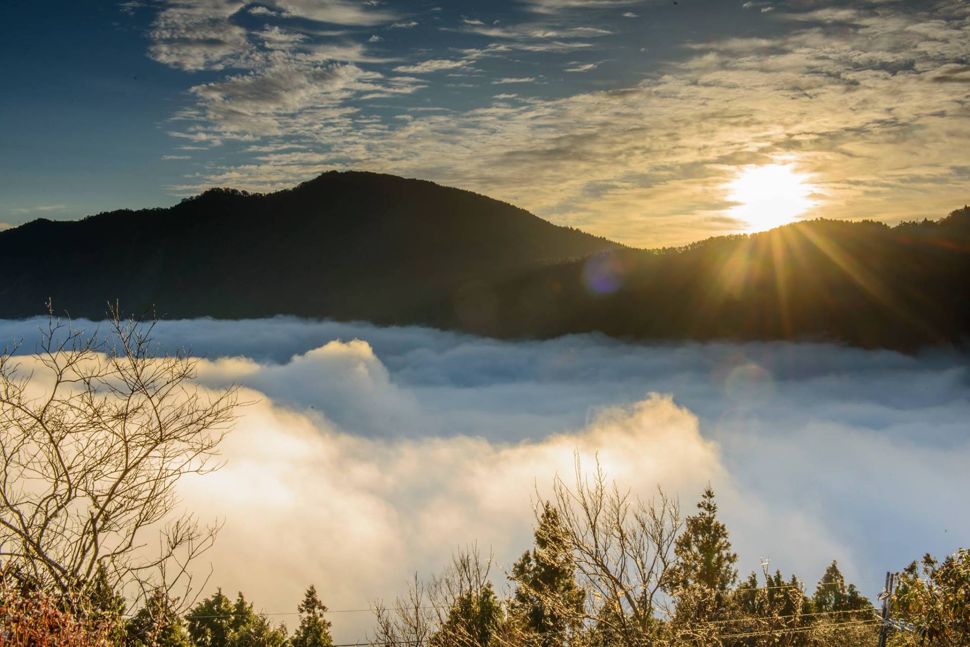 太平山雲海