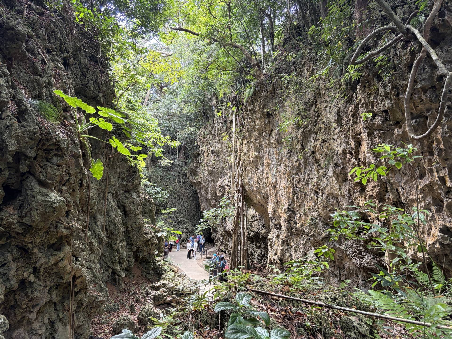 墾丁國家森林遊樂區