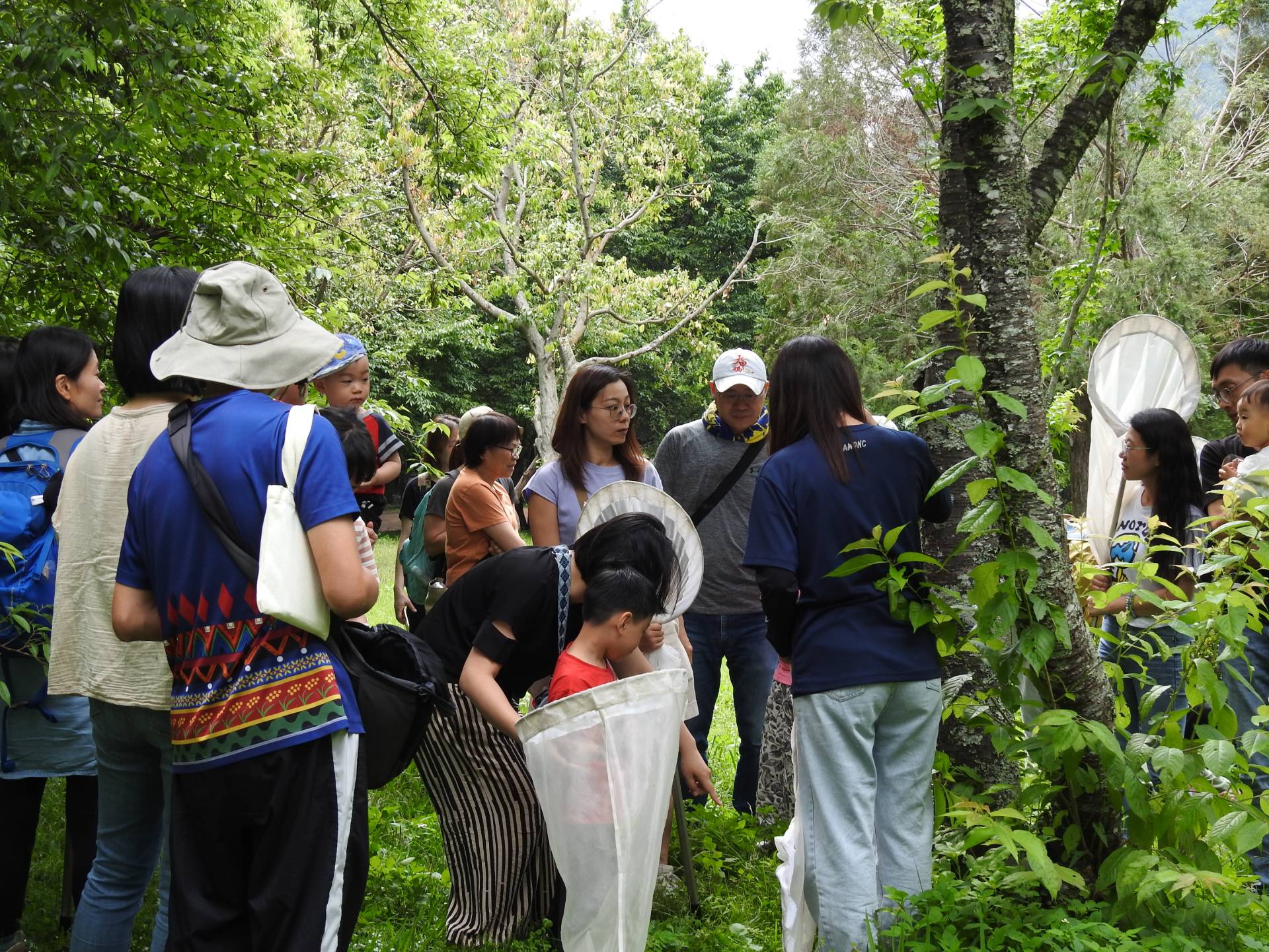 奧萬大國家森林遊樂區