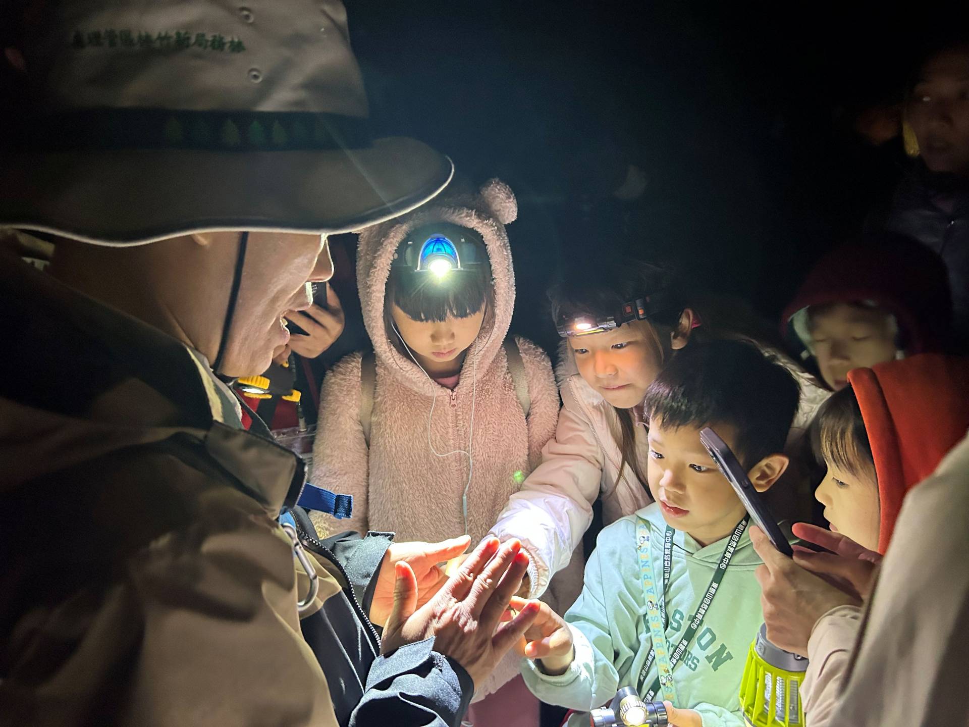 進擊吧！昆蟲偵搜隊｜夜間生態觀察