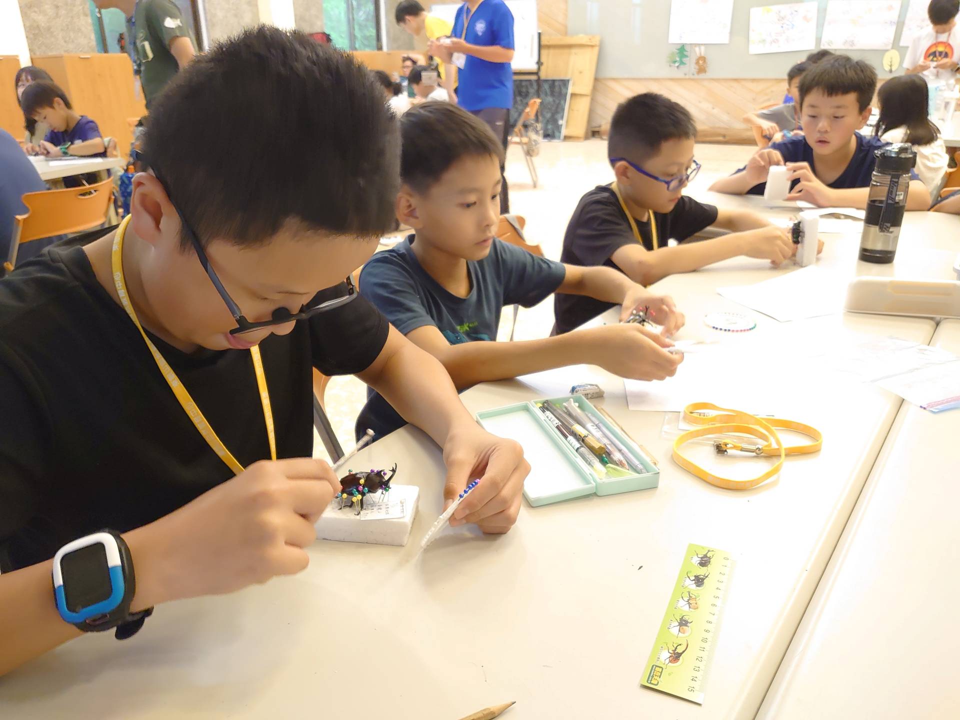 進擊吧！昆蟲偵搜隊｜標本實作