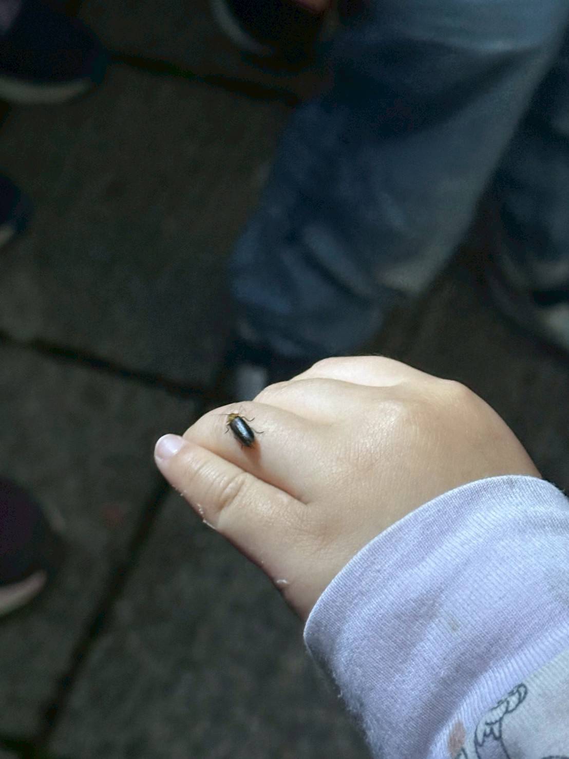 滿月圓具備豐富且多樣化的生態