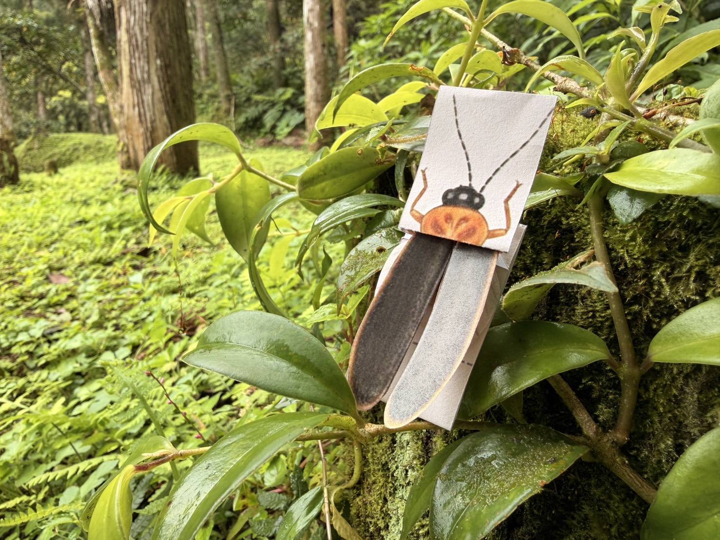 螢火蟲手作小禮