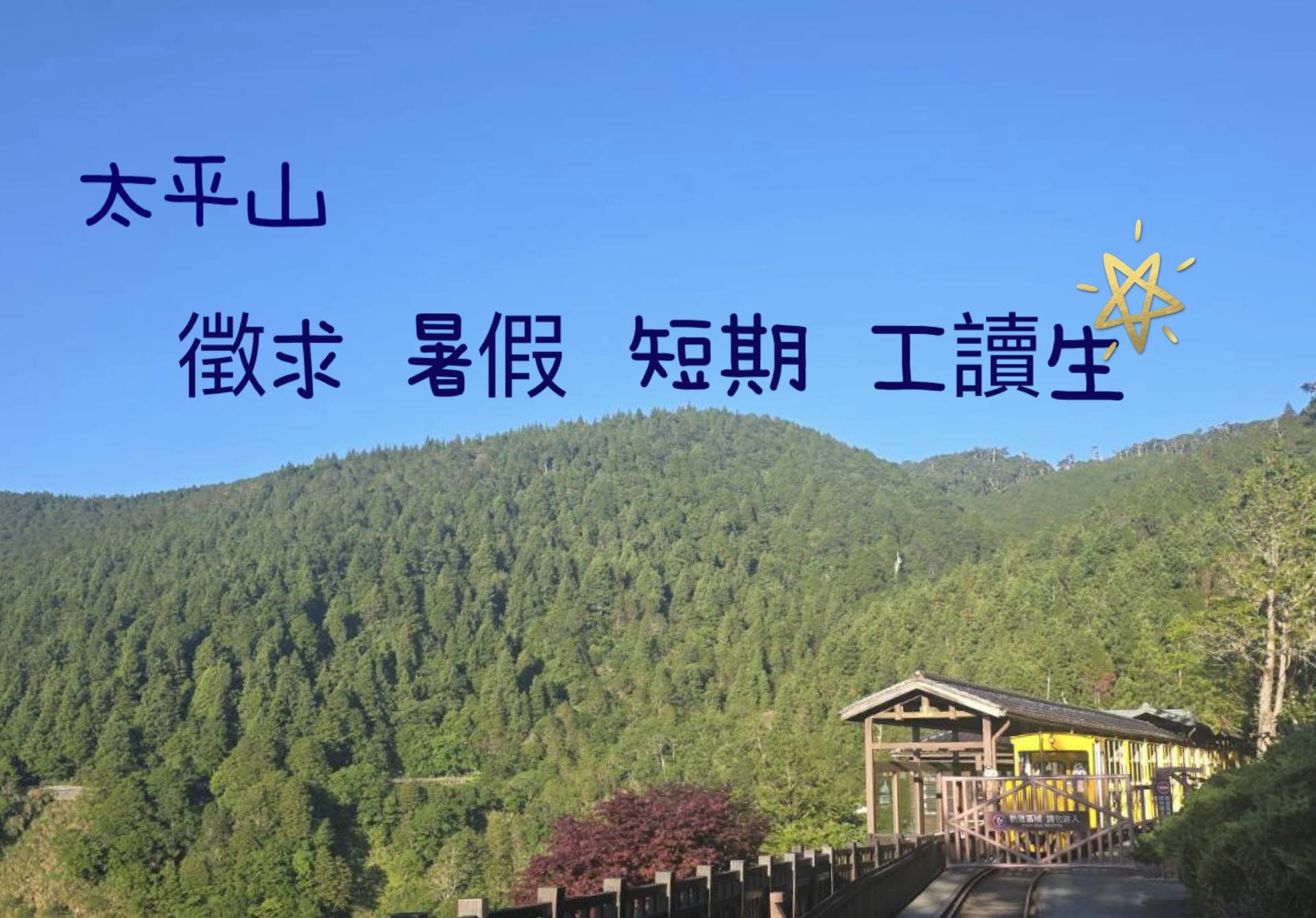 太平山國家森林遊樂區徵求115年暑假短期工讀生