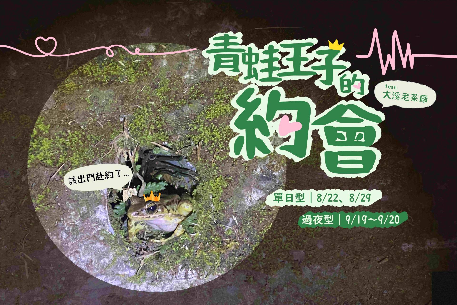 115年青蛙王子的約會活動海報