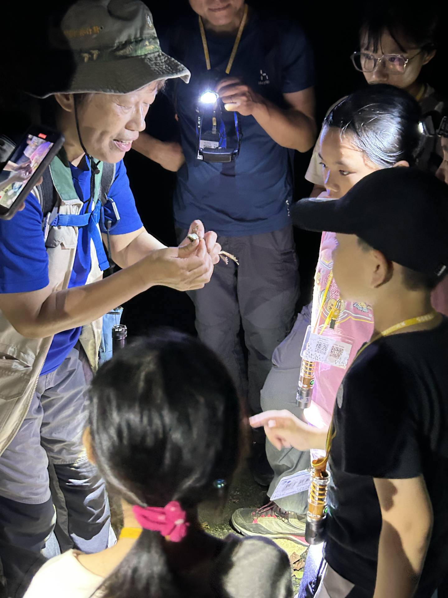 夜間觀察