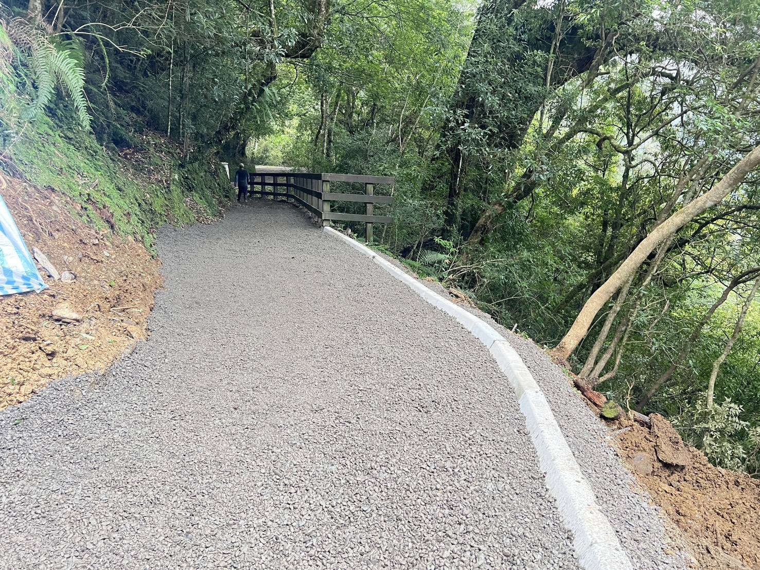 拉拉山國家森林遊樂區巨木步道邊坡土石崩塌搶通後