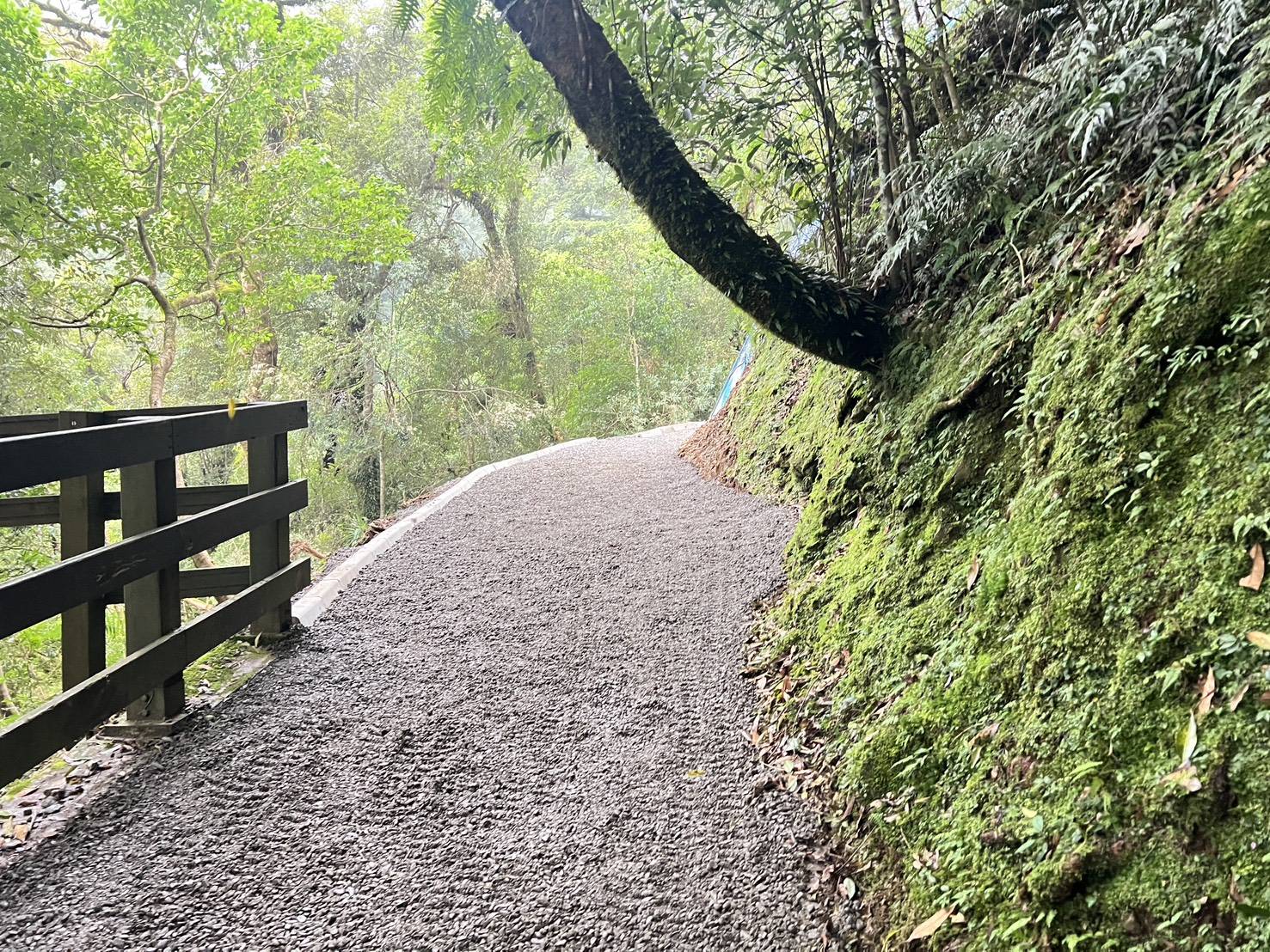 拉拉山國家森林遊樂區巨木步道邊坡土石崩塌搶通後