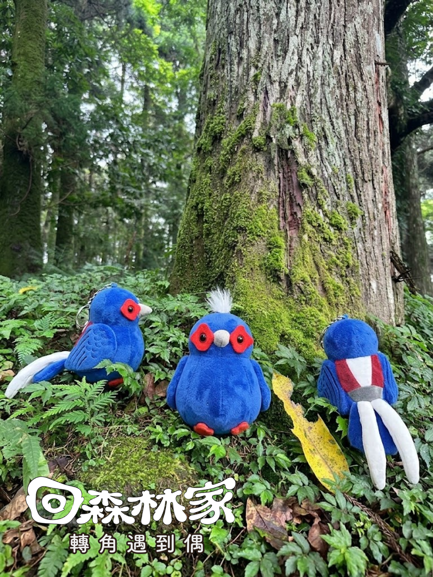 圖6、2026回森林家_活動當日首賣-藍腹鷴鑰匙圈布偶