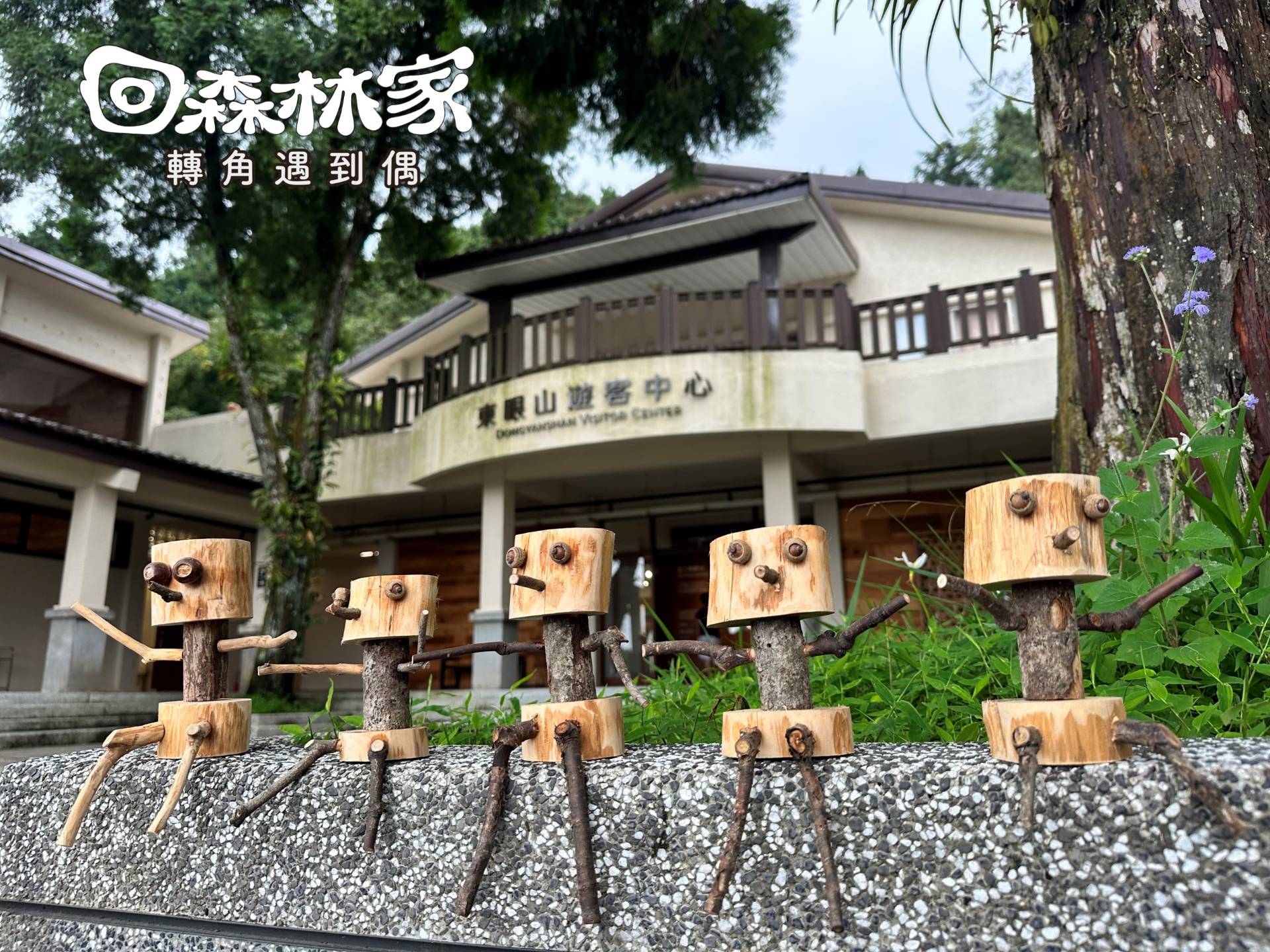 2026回森林家_小木偶植栽