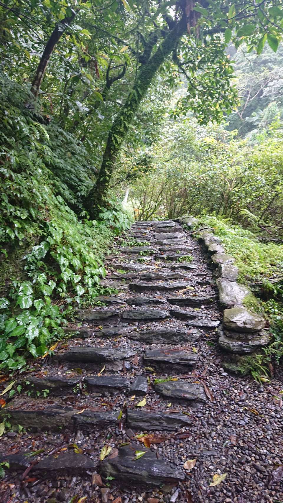 步道路況