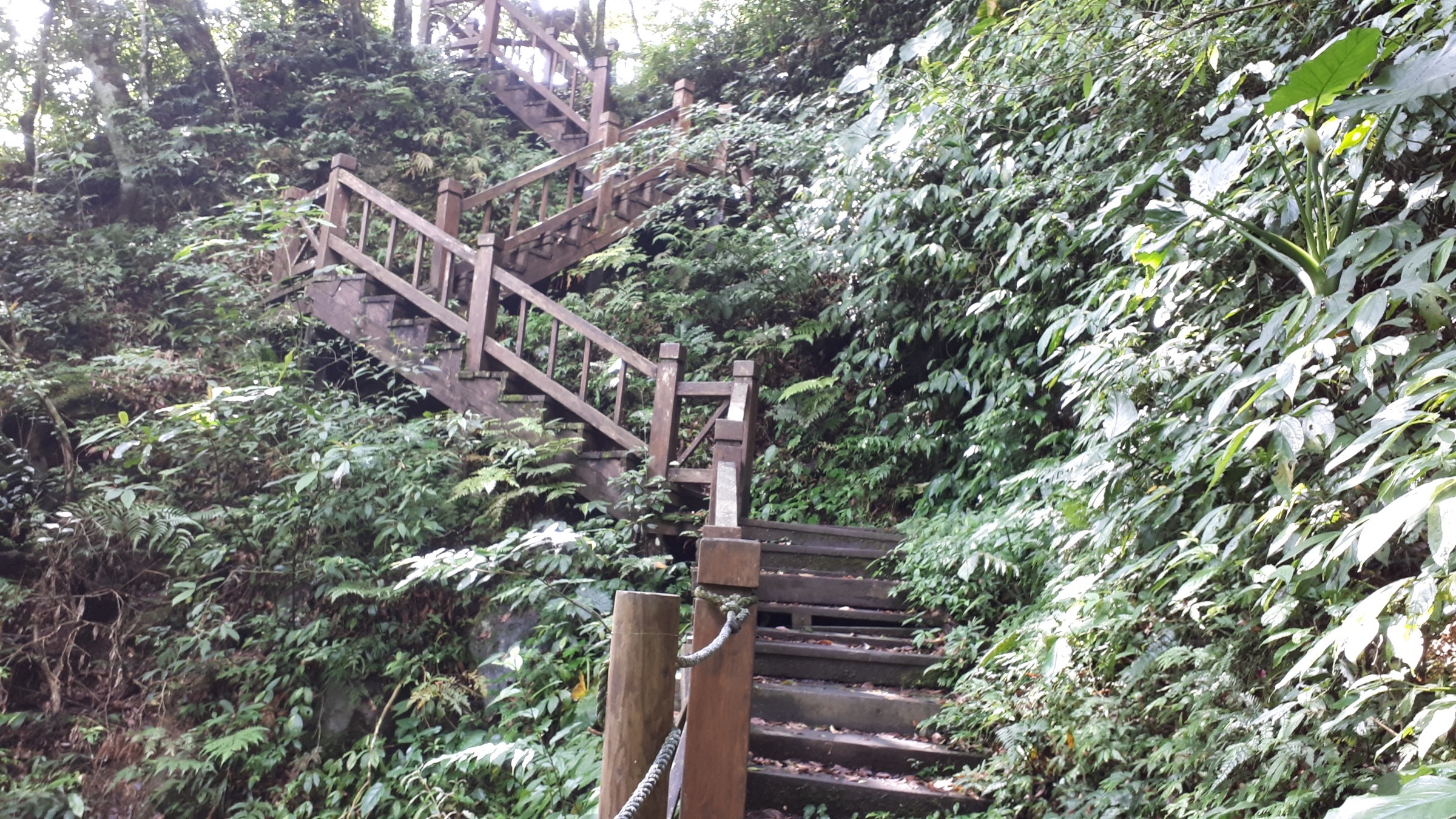 東滿步道階梯