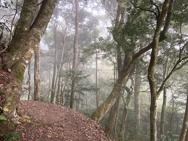 鳥嘴山