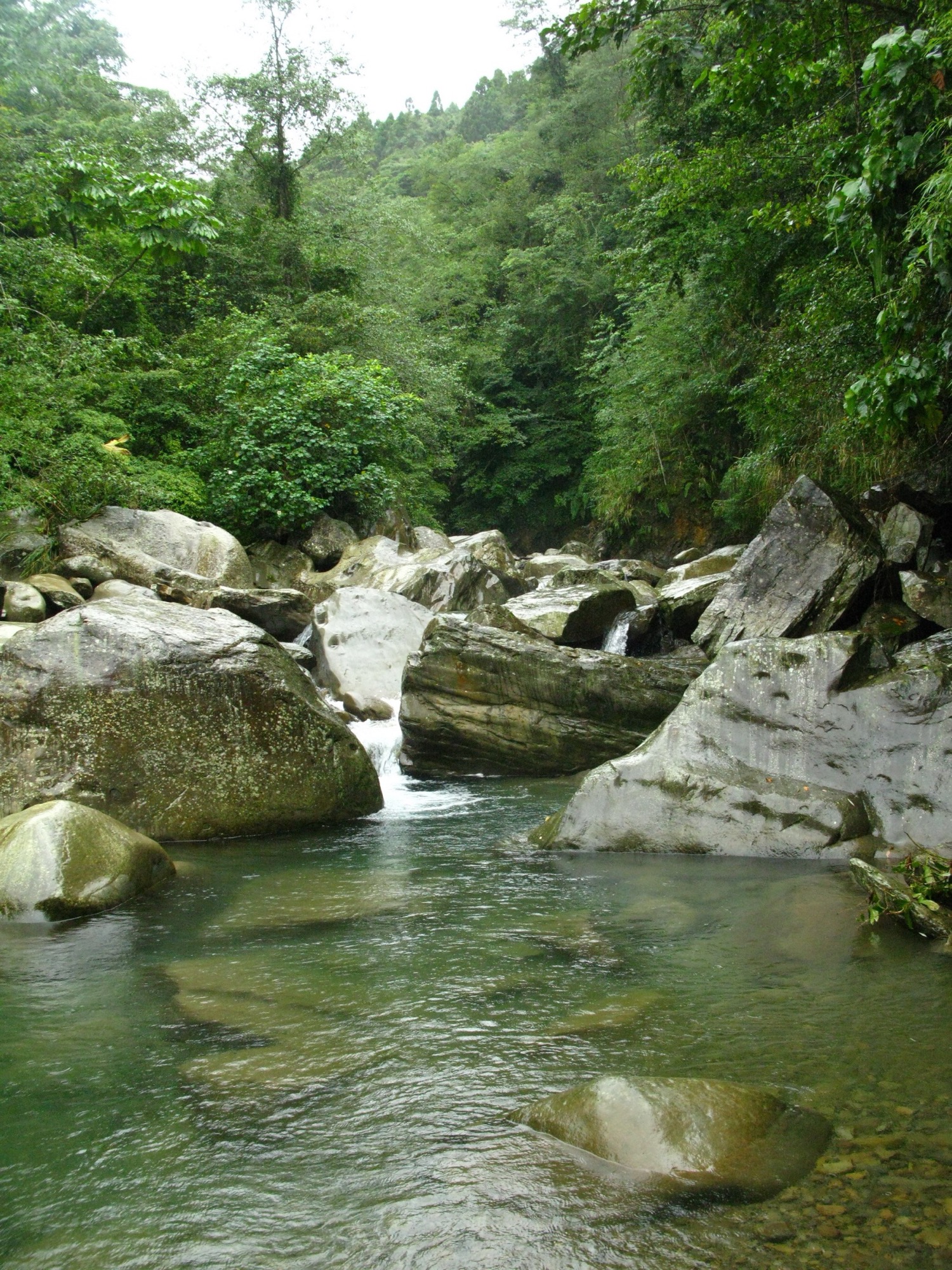 加里山登山步道一隅-溪流