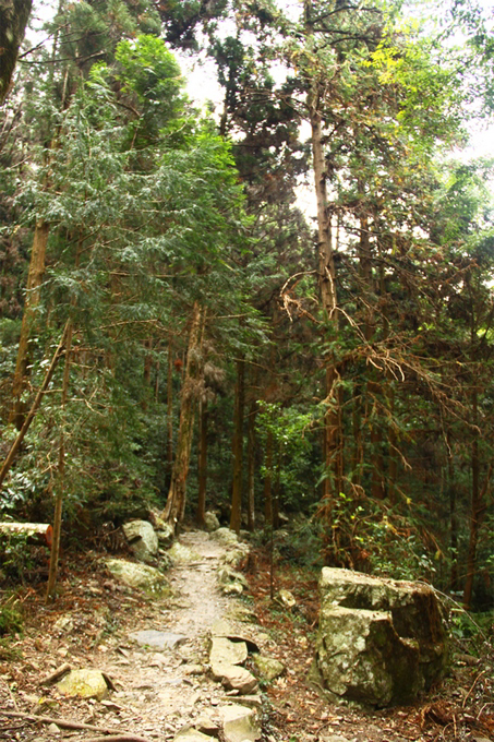 步道景觀