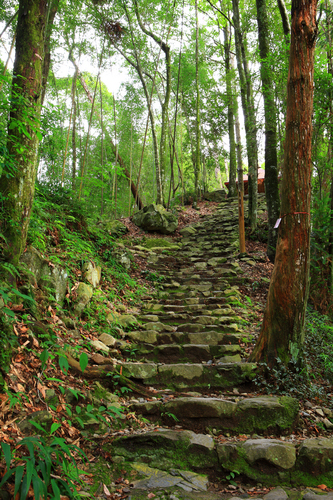 步道景觀