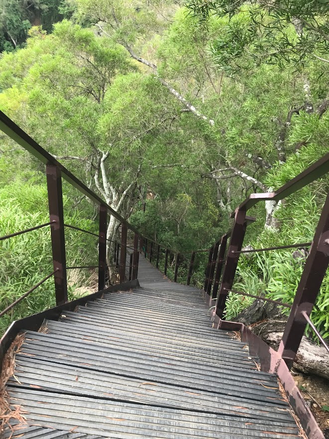 中央嶺步道一景許逸玫