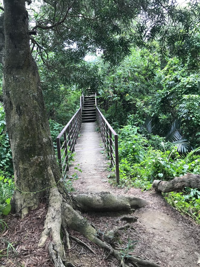 中央嶺步道風景許逸玫