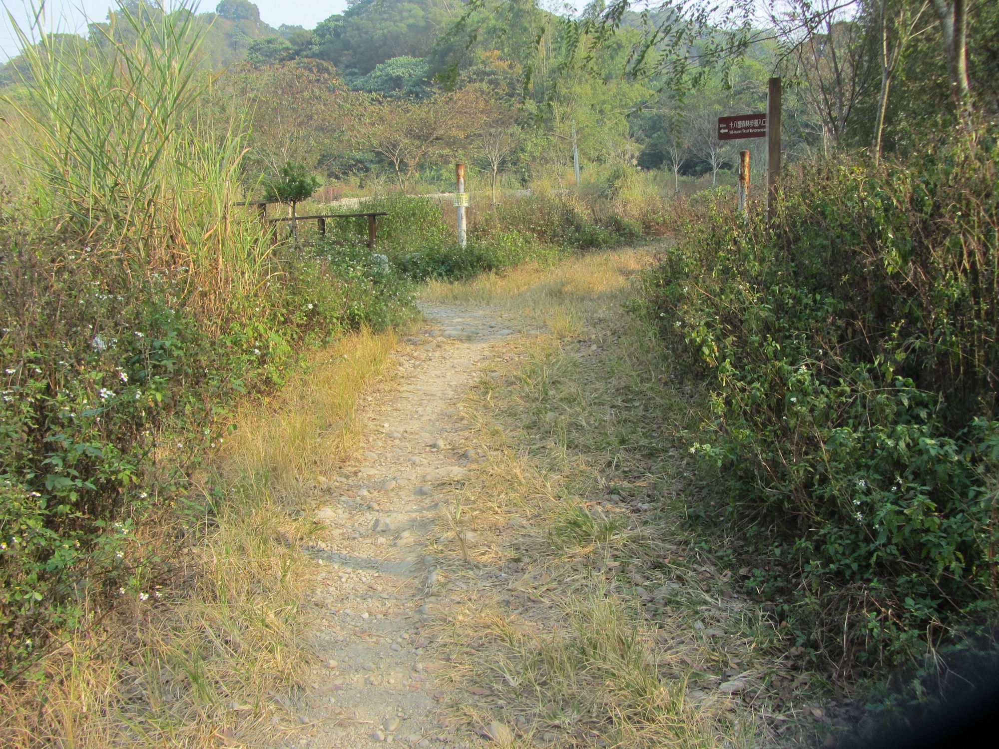 步道路面