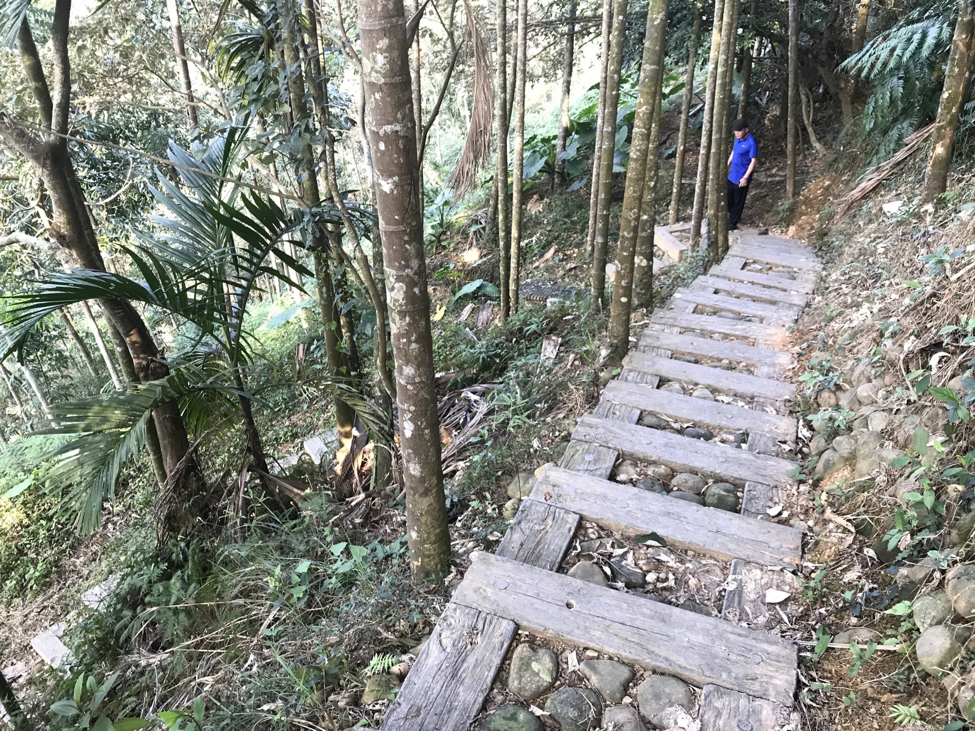 坑內坑步道現況