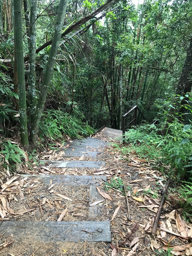 澀水森林步道階梯