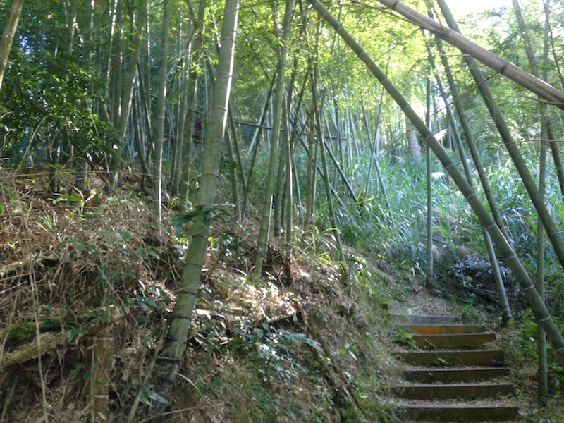 竹林木棧道