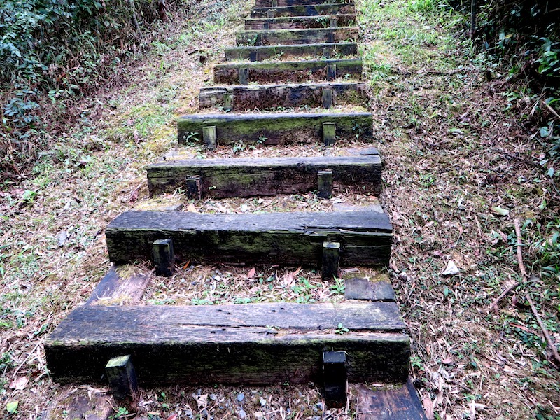 步道一景-木製階梯